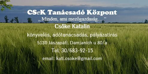 CSEK tanácsadó iroda